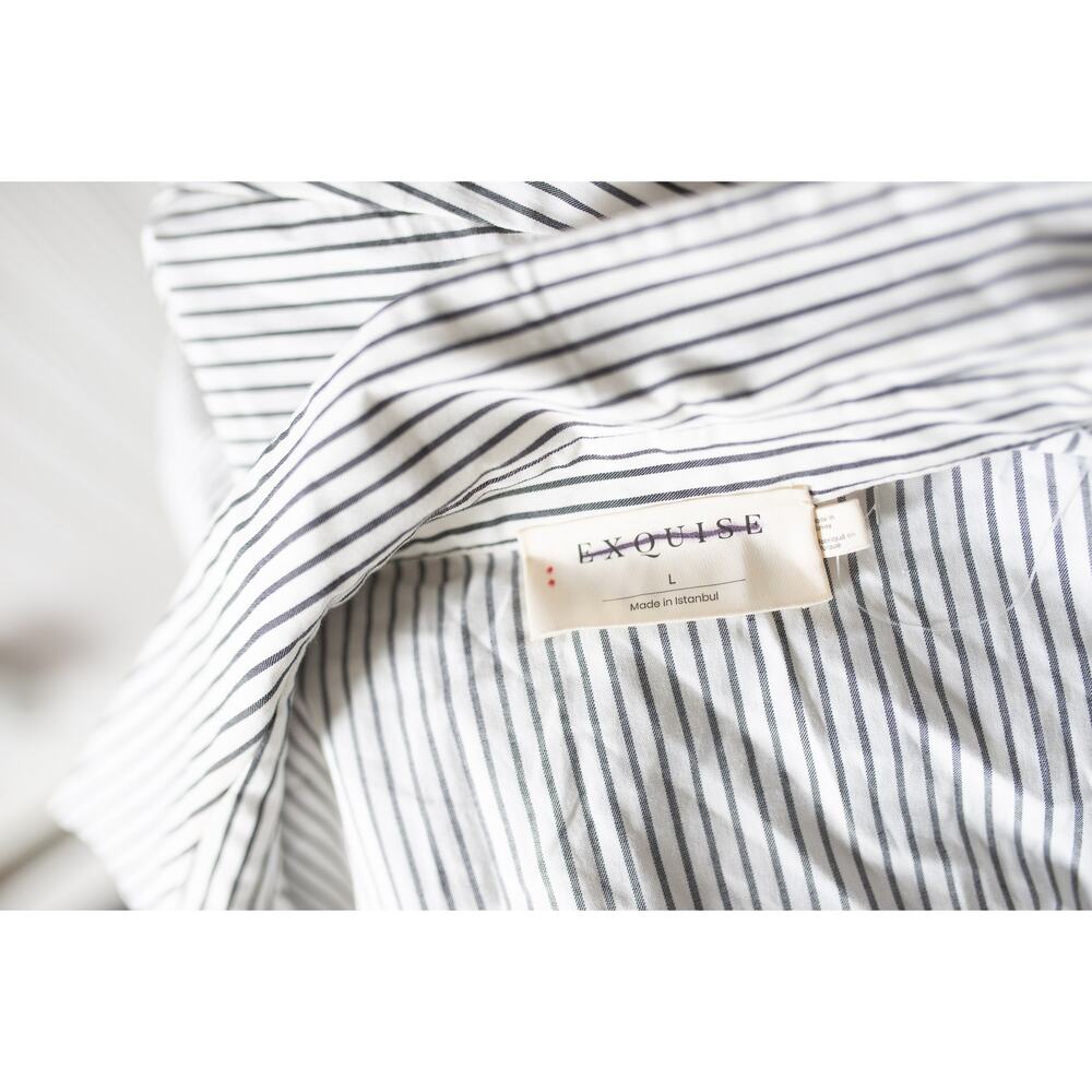 Anthropologie The Tobie Button-Front Pleated Shirt Dress by Exquise Large - Picture 6 of 6